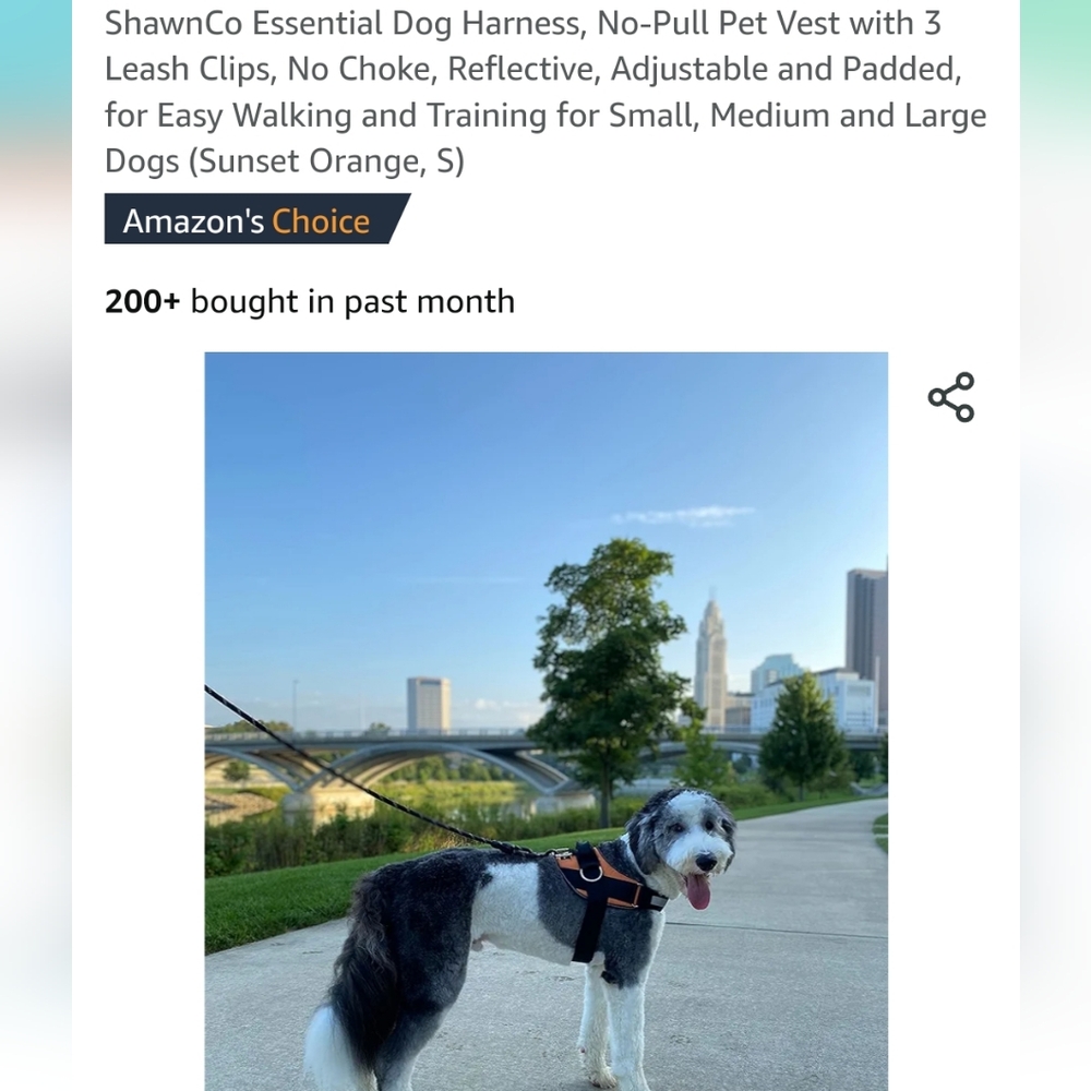 ShawnCo Essential Dog Harness no pull pet Vest with 3 Leach Clips  No Choke new